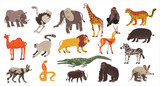 Collection of African animals set. Elephant, hippo, rhino, lion herbivores and carnivores vector illustration