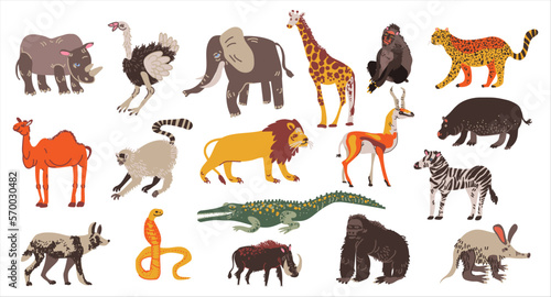 Collection of African animals set. Elephant, hippo, rhino, lion herbivores and carnivores vector illustration