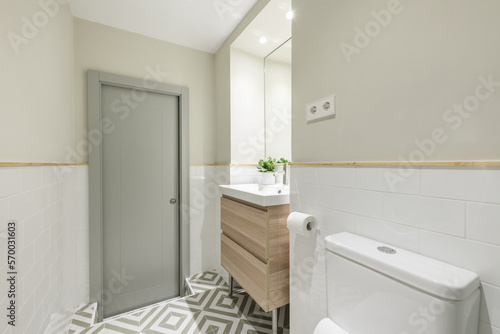 Newly renovated bathroom with a small wooden cabinet with drawers and a white porcelain sink, a mirror integrated into the wall and a decorative plant