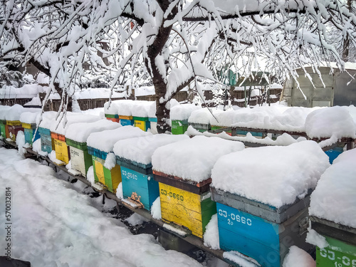 Bee hives in the winter frozen under snow