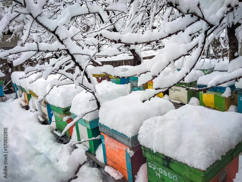 Bee hives in the winter frozen under snow