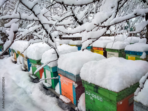 Bee hives in the winter frozen under snow