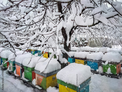 Bee hives in the winter frozen under snow