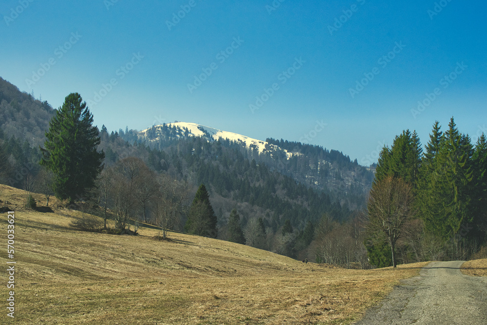 snowy mountain in the black forest