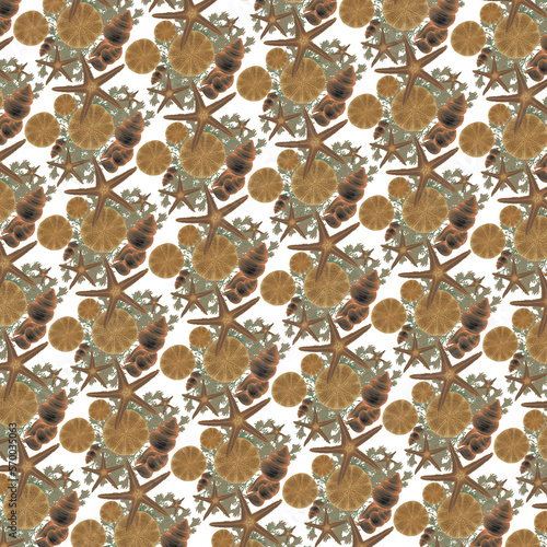 pattern seashell, decoration, pattern wallpaper