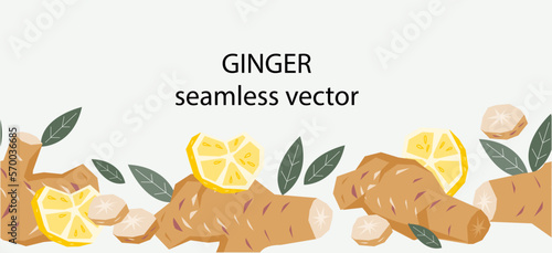 Ginger or turmeric and lemon seamless border design, hand drawn vector illustration isolated. Seamless border or frame edge for food spices and tea packaging with ginger.