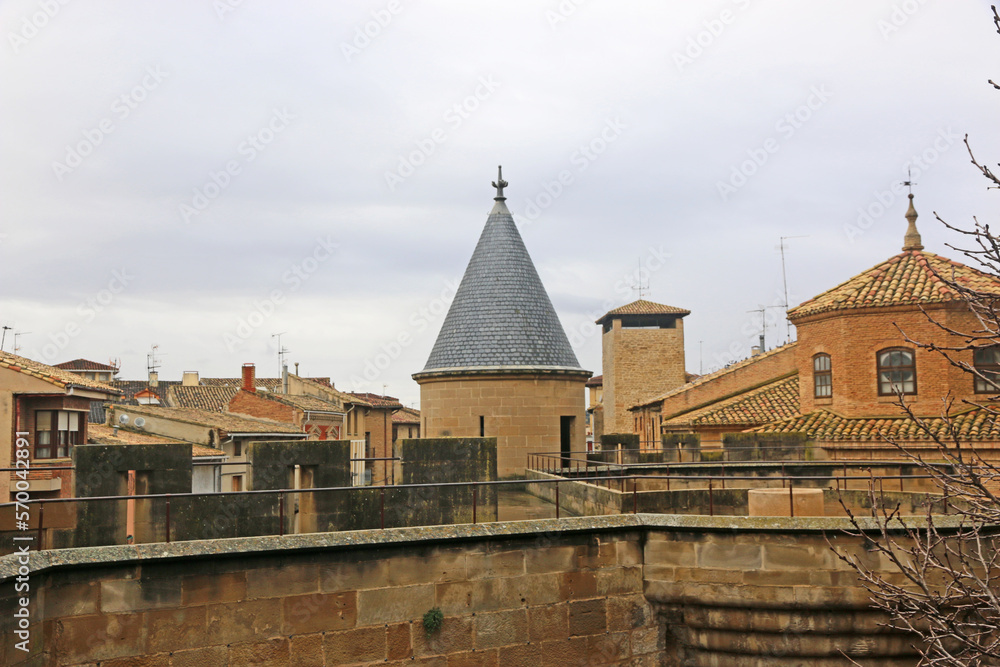 Palace of the Kings of Navarre of Olite, Spain	