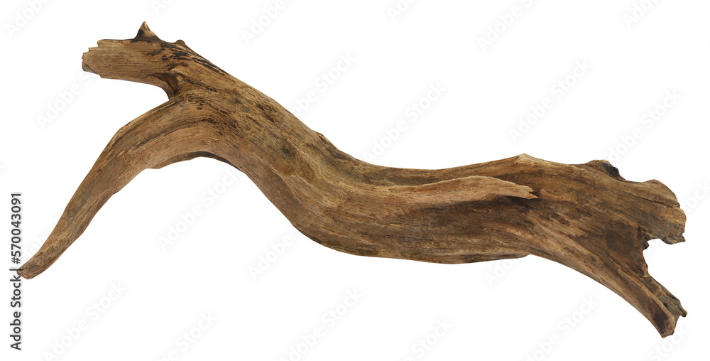 Driftwood over white background Driftwood over white background