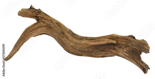 Driftwood over white background © Swapan