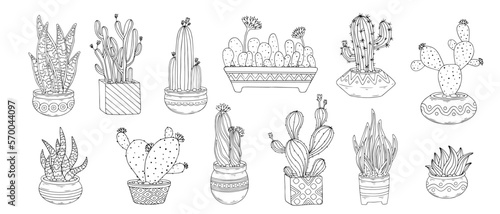 Set of doodle sketches of catus, succulents in flower pots. Vector graphics of simple plants.	