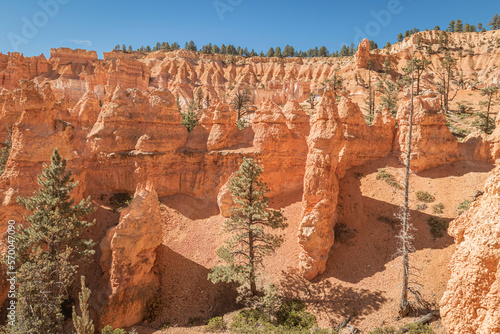 Landscape view of hoodoos and spires from deep in the hiking trail of Bryce Canyon National Park with the canyon cliff and clear blue sky in the background.
