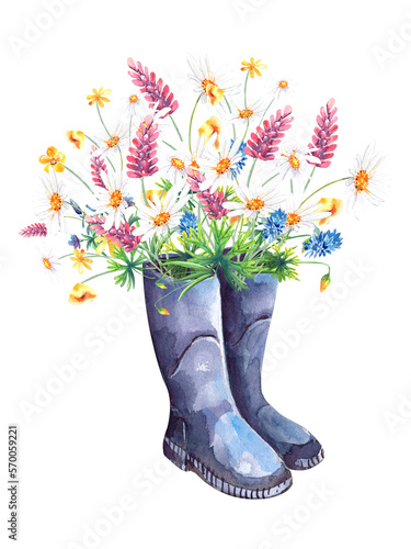 Wildflowers in rubber boots, summer bloom, mesdow, floral arrangement clipart
 Stock illustration. Hand painted in watercolor. photo