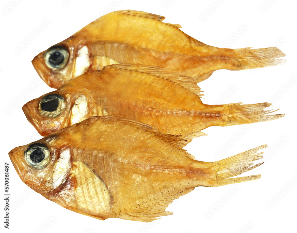 Dried Elongate glassy perchlet Dried Elongate glassy perchlet