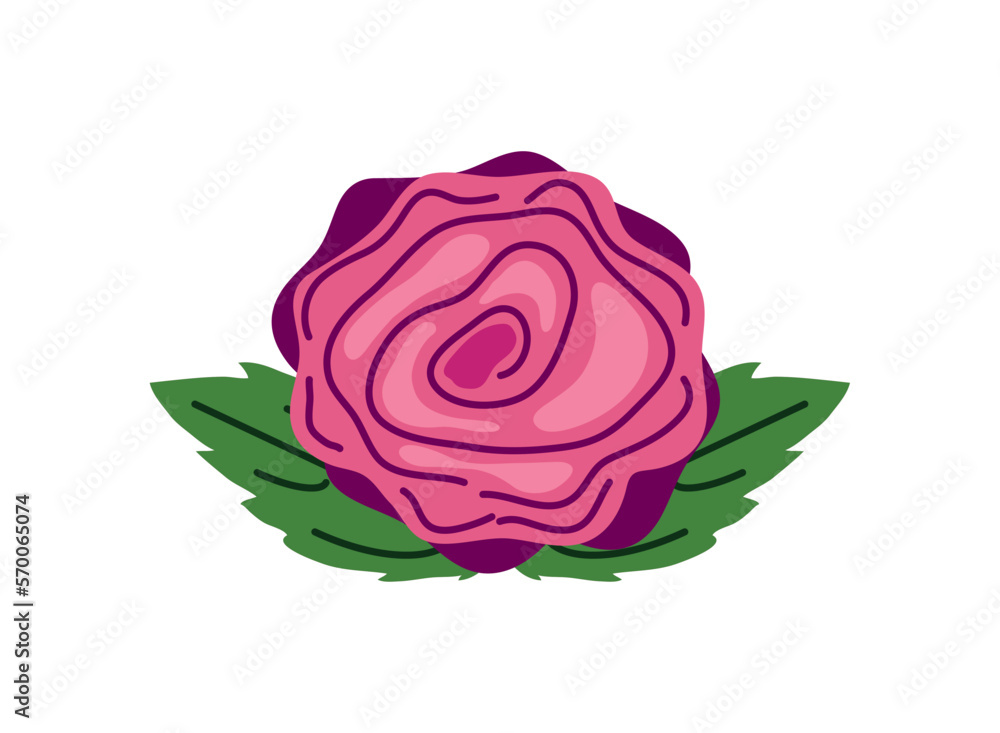flower rose icon flower rose icon
