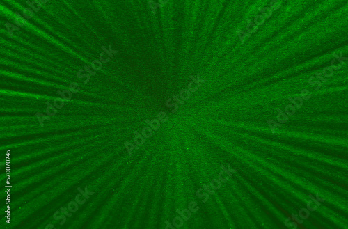 Zielone tło paski