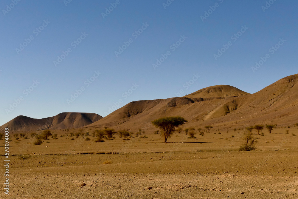 Marocco, paesaggio predesertico del Medio Atlante. Regione di Sousse Massa Marocco, paesaggio predesertico del Medio Atlante. Regione di Sousse Massa