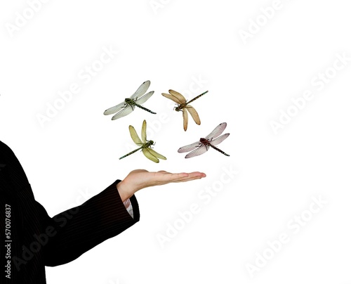 A hand to up the dragonfly was flying.
