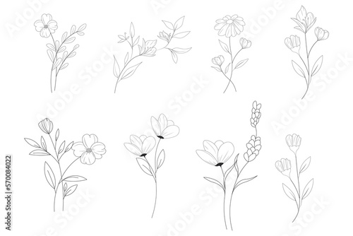 rustic flower and leaf hand drawn line art collection