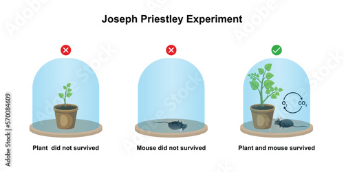 Scientific Designing of Joseph Priestley Experiment. Vector Illustartion.