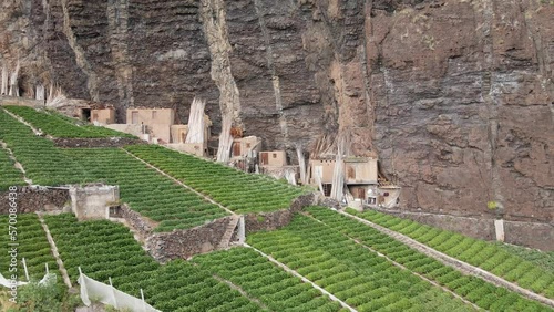 Agriculture houses on a cliff. Beautiful aerial or drone shot along the coast of Madeira Island in Portugal. Epic cliffs and ocean waves on a sunny day. Untouched, powerful nature. Flying backwards. 