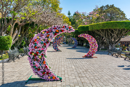 Lunas hechas de flores en un parque photo