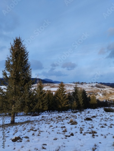 Winter landscapes Carpathians Ukraine.The beautu of winter freshness. photo