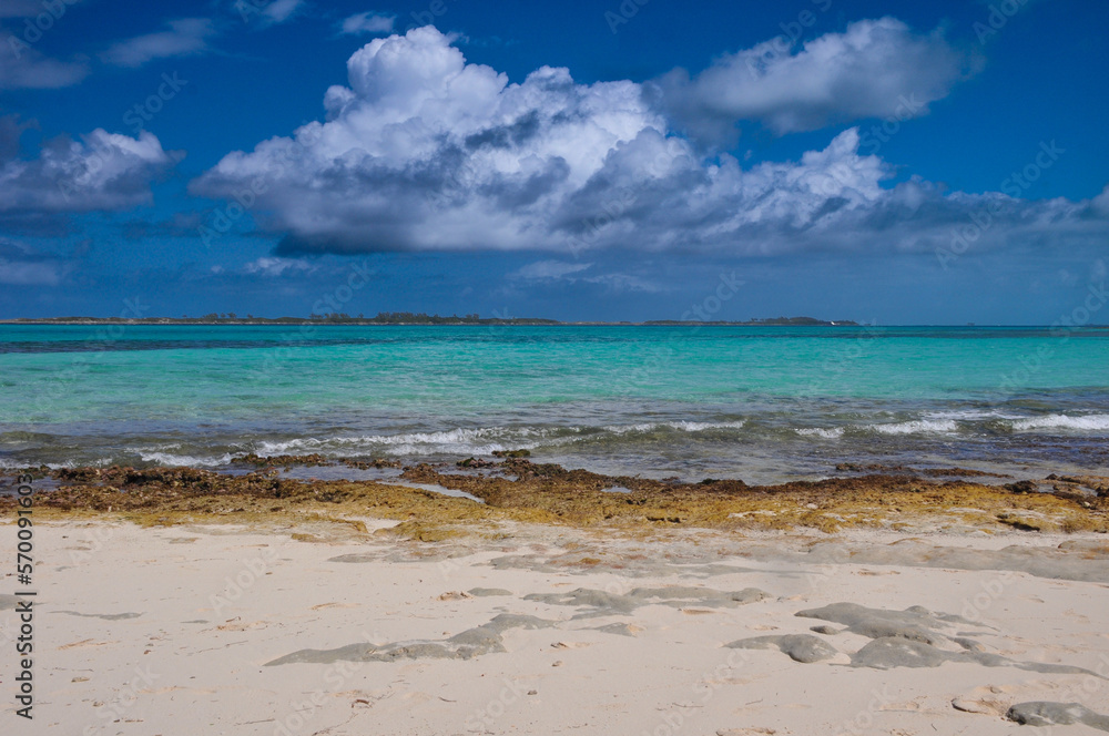 Fototapeta premium Tropical Caribbean Beach