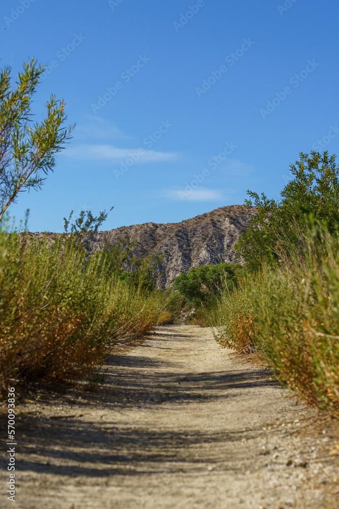 Hiking Trail in the Big Morongo Canyon Preserve