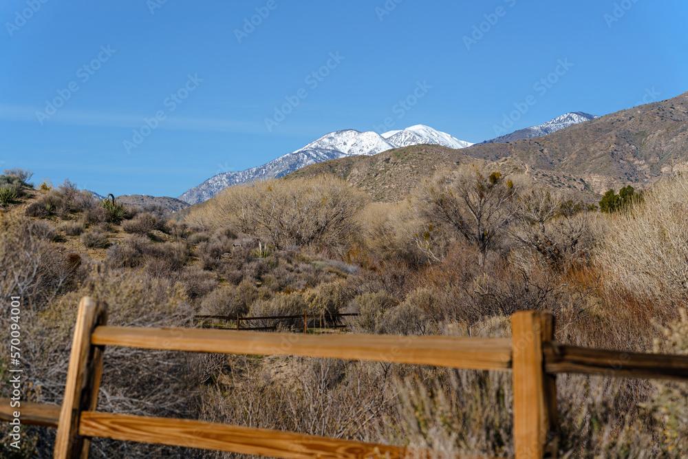 View of the snow-capped San Gorgonio Mountains from the Big Morongo Canyon Preserve. Photographed in landscape format with a wide-angle lens.