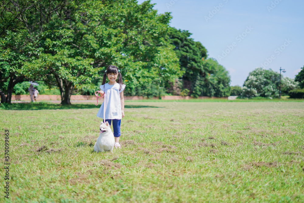 犬を散歩する小さな女の子 犬を散歩する小さな女の子