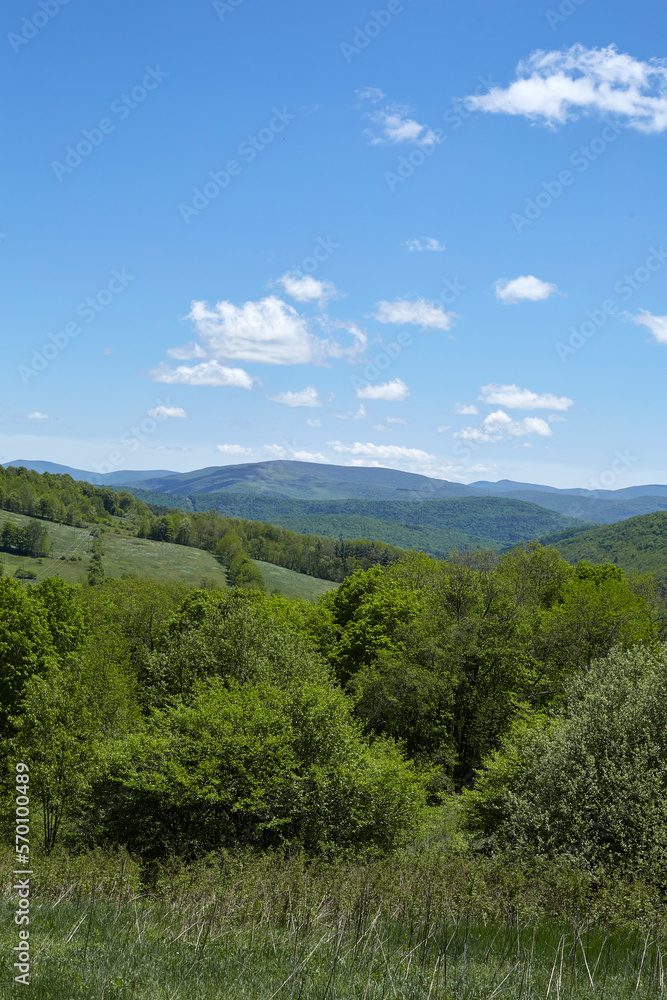 Landscape photograph with green rolling hills and blue sky. Summer scene.