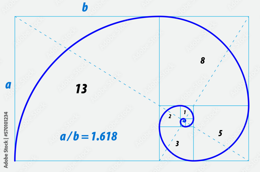 Fototapeta premium fibonacci ratio divine proportion isolated - 3d Illustration