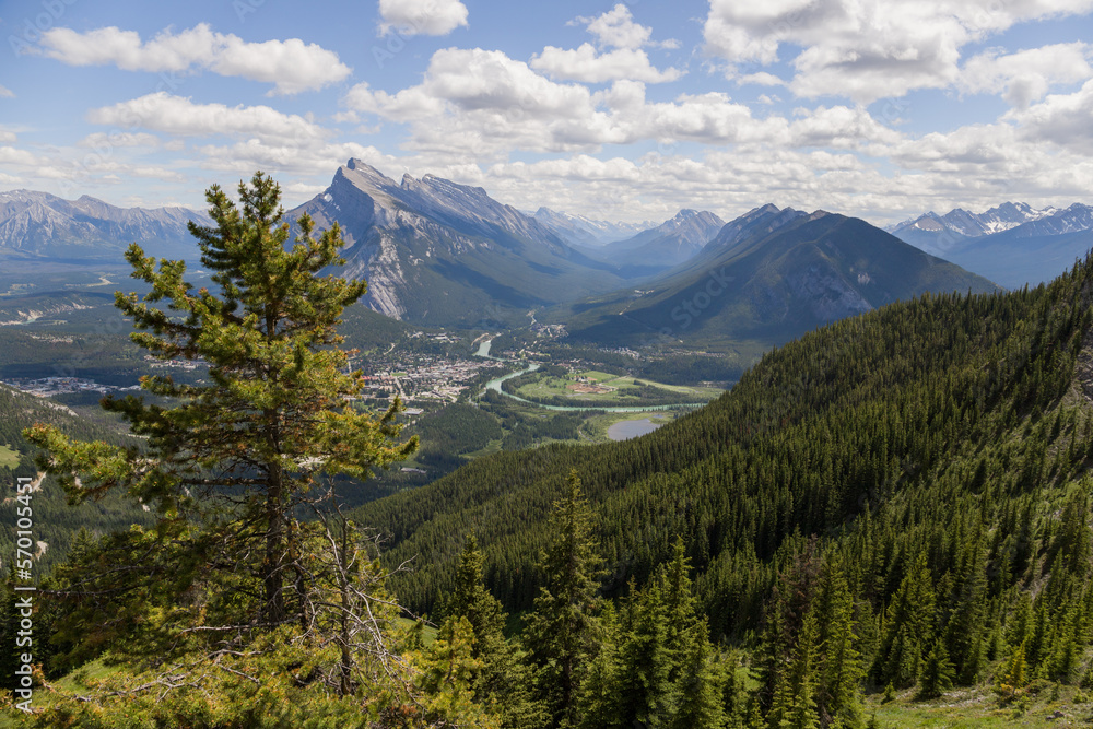 Fototapeta premium View of the town of Banff from the top of the mountain. Hiking, climbing, Tourism Alberta Canada. Canadian Rocky Mountains