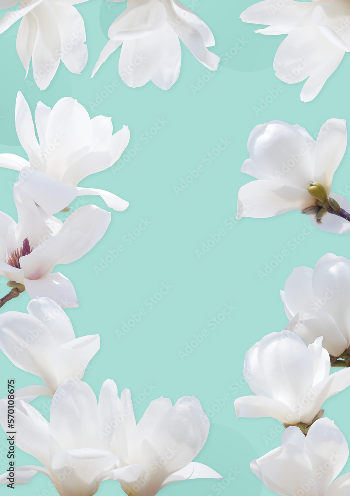 Spring wallpaper with magnolia flowers. Spring wallpaper with magnolia flowers.