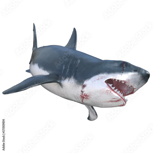 Shark predator isolated 3d render