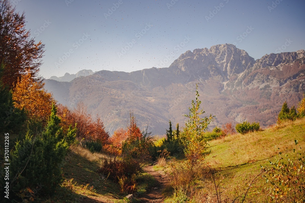 Landscape view of autumn hills with alps in the background in rural Europe.