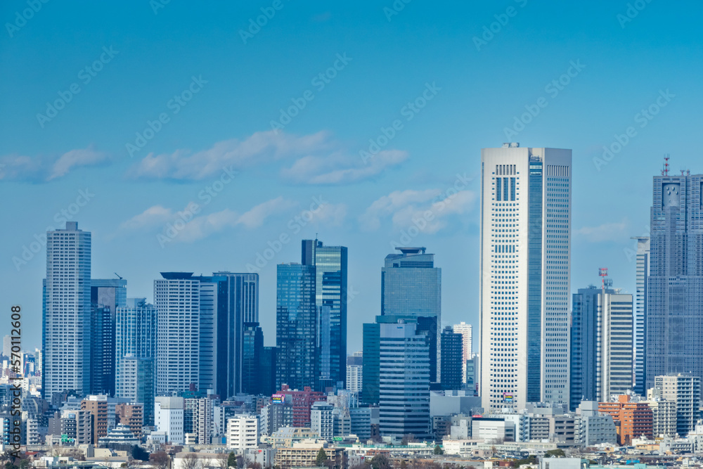 Obraz premium 新宿の超高層ビル群(三軒茶屋から)