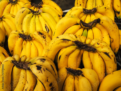 bunch of bananas