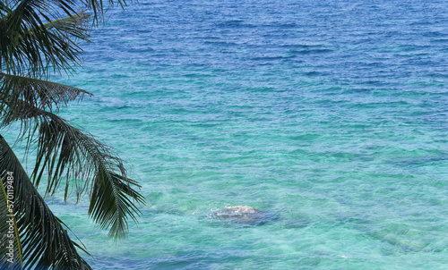 Coconut foliage and the blue ocean, beautiful Indian Ocean, looking from the cliff
