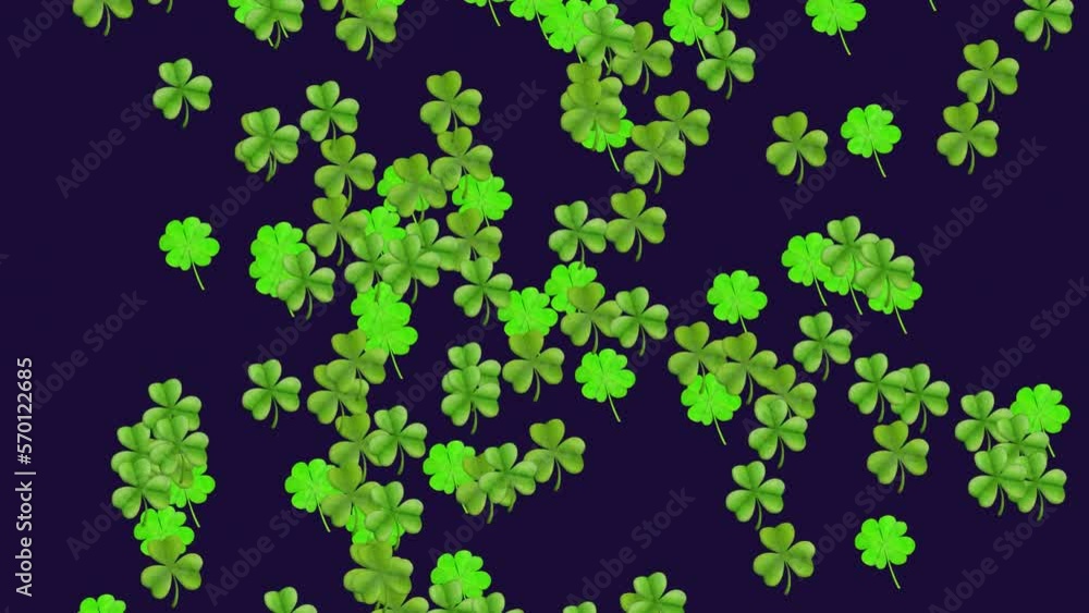 Animation of green clover leaves on black background Animation of green clover leaves on black background