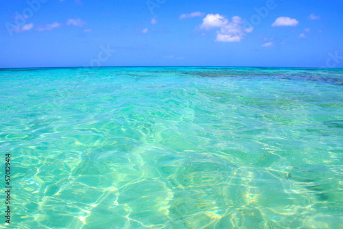 Secluded turquoise beach in Aruba  Caribbean Blue sea  Duth Antilles