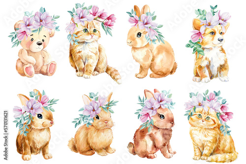 Puppy, teddy, kitten with magnolia flowers and eucalyptus , baby animal on isolated background. Watercolor illustration