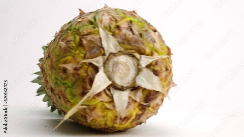 Whole yellow tropical pineapple spinning on it's side in a circle on a white table top in slow motion Whole yellow tropical pineapple spinning on it's side in a circle on a white table top in slow motion