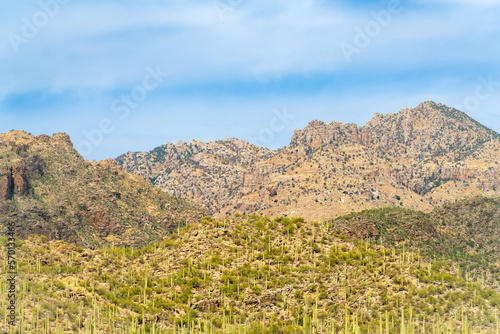 Hillside cactuses in the ridges and mountains of the sonora desert in arizona with blue and white sky background