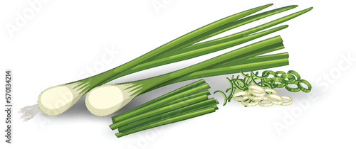 Spring onion in different forms