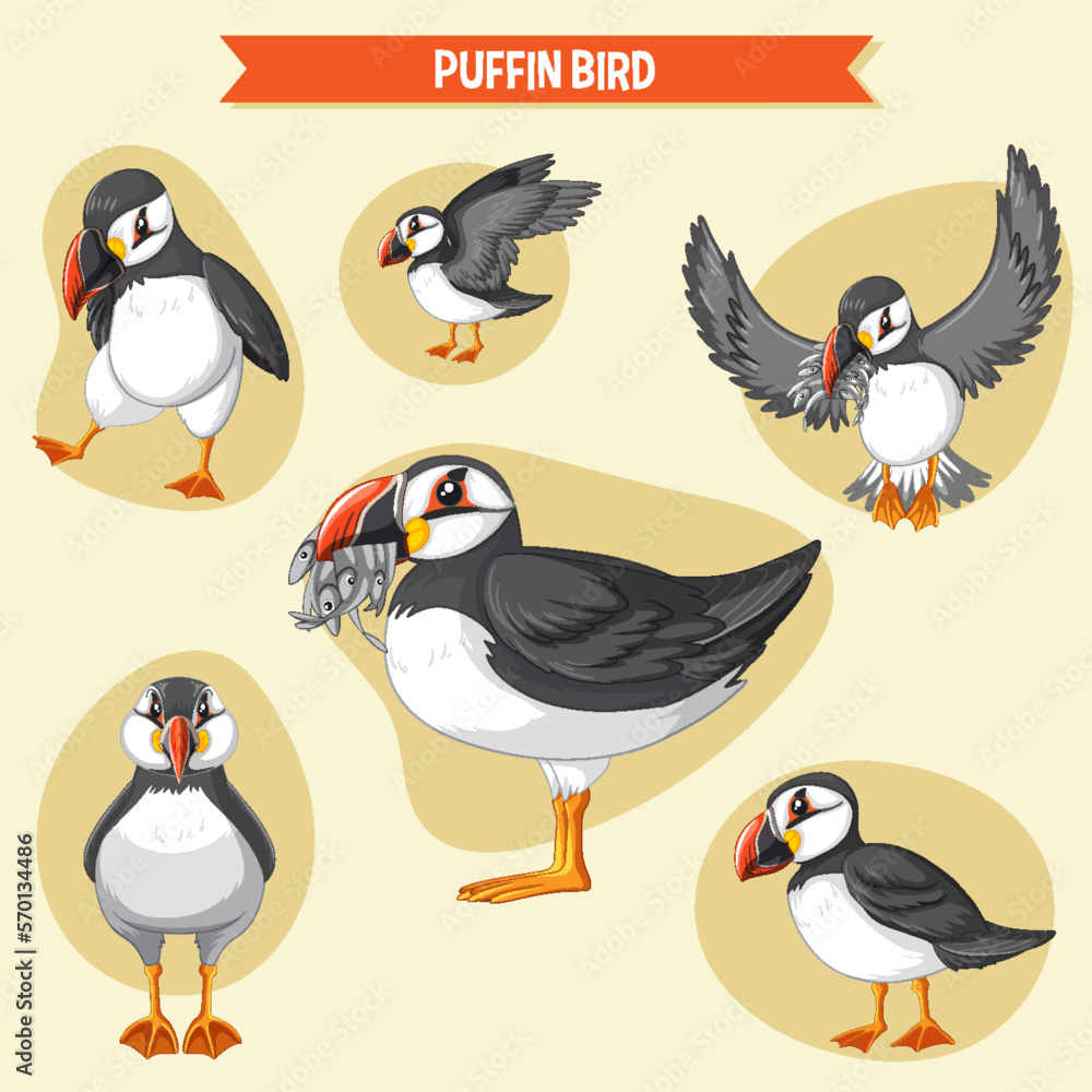 Obraz premium Set of puffin bird cartoon character in different poses
