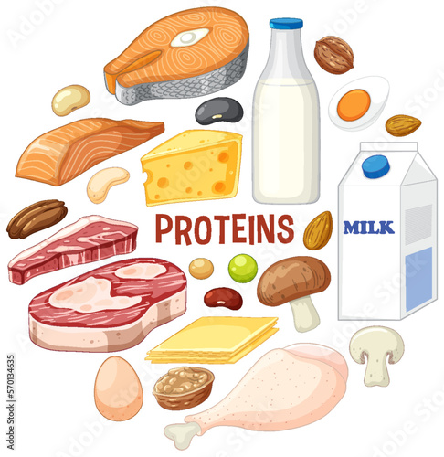 Variety of protein foods with text