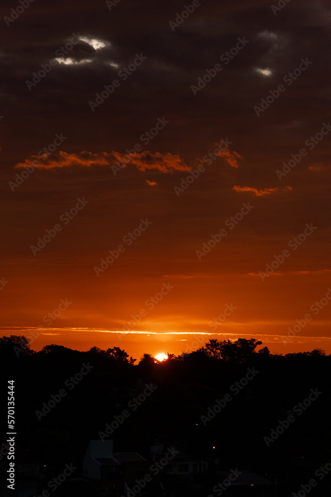 Obraz premium sunset in the desert vertical