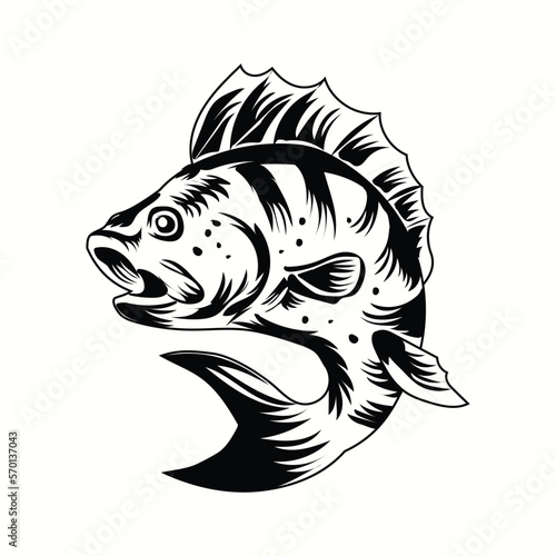 Black  Bass fish illustration premium quality vector