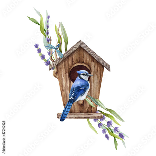 Papier peint Blue jay bird on the birdhouse with leaf and flower decor